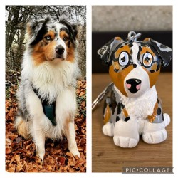 Anikrea - Créez la figurine de votre animal de compagnie en style cartoon