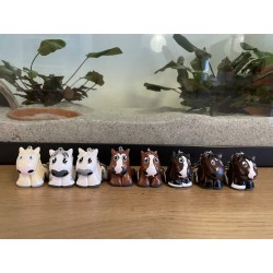 Anikrea - Créez la figurine de votre animal de compagnie en style cartoon