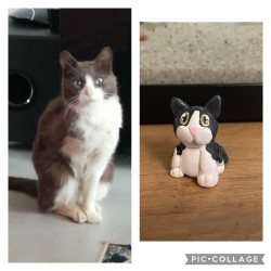 Anikrea - Créez la figurine de votre animal de compagnie en style cartoon