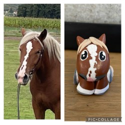 Anikrea - Créez la figurine de votre animal de compagnie en style cartoon